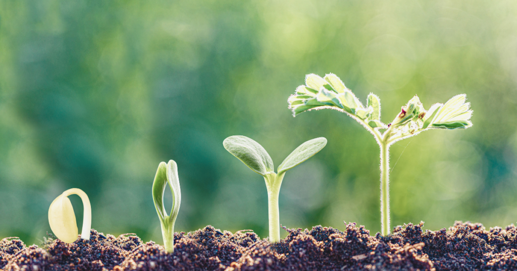 business growth measurement